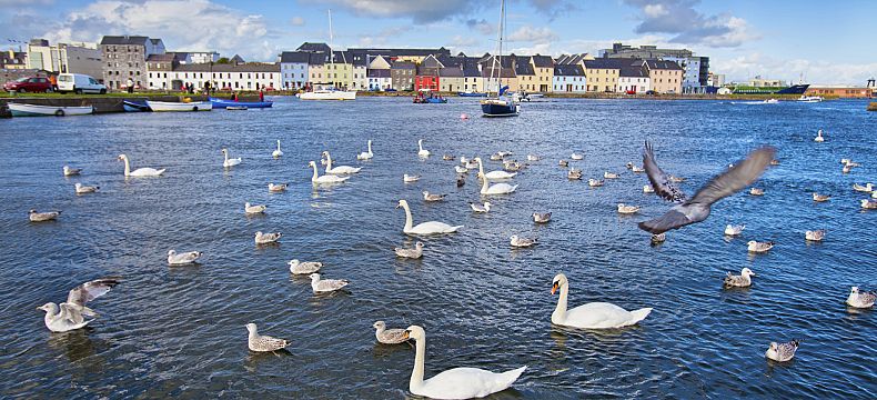 V těsném sousedství Galwaye se nachází malé rybářské městečko Claddagh
