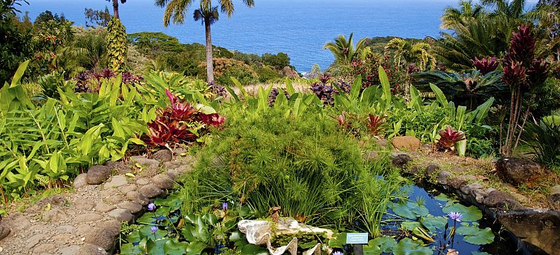 Tropická botanická zahrada na Maui