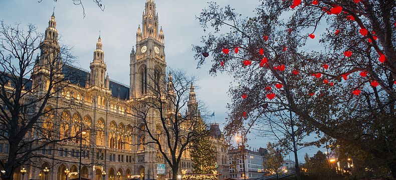 Vídeňská radnice a srdíčkový strom