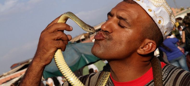 Krotitel hadů v Marrákeši