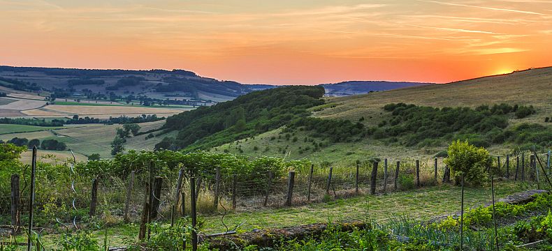 Příroda a vinice naleznete v Burgundsku