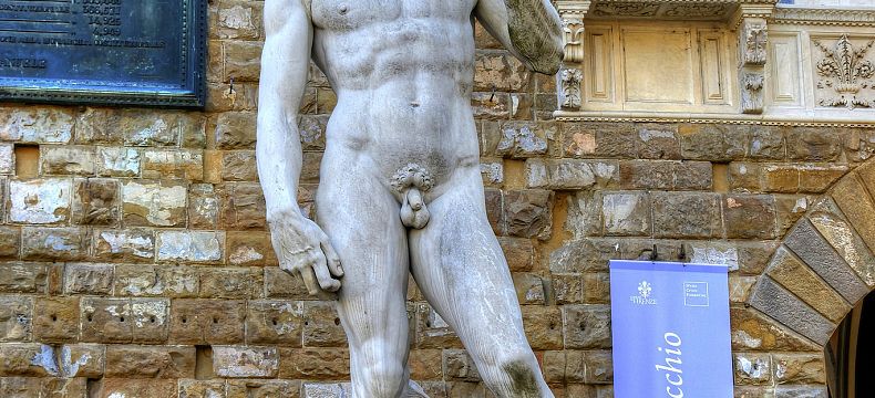Kopie Michelangelovy sochy Davida 
