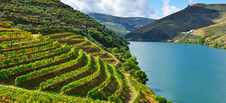 Kopcovité údolí řeky Douro