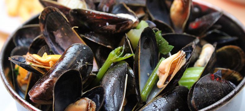 Mořské plody můžete ochutnat v každé restauraci