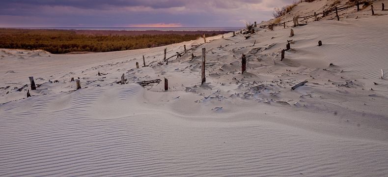 Parnidisova duna