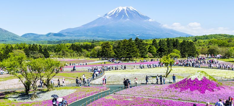 Květinový festival pod horou Fudži