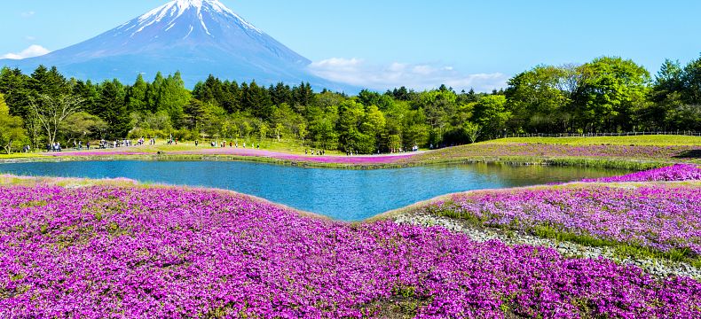 Nádherná japonská příroda 