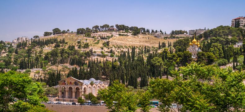 Olivetská hora v Jeruzalémě 