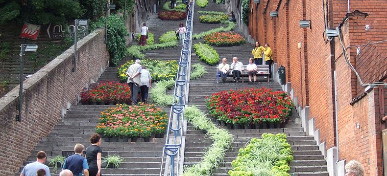 Extrémně strmé schodiště bude i letos v červnu v jednom květu