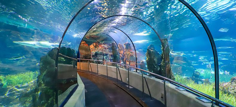 Barcelonské akvárium