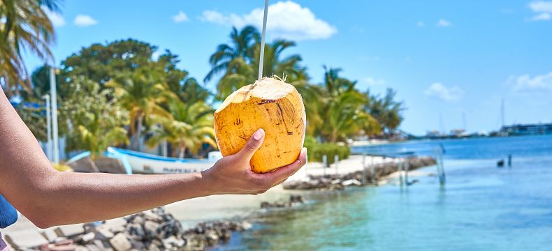 Oblíbená je voda z mladého kokosového ořechu