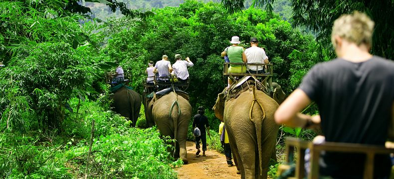 Masová turistika a jízda na slonech