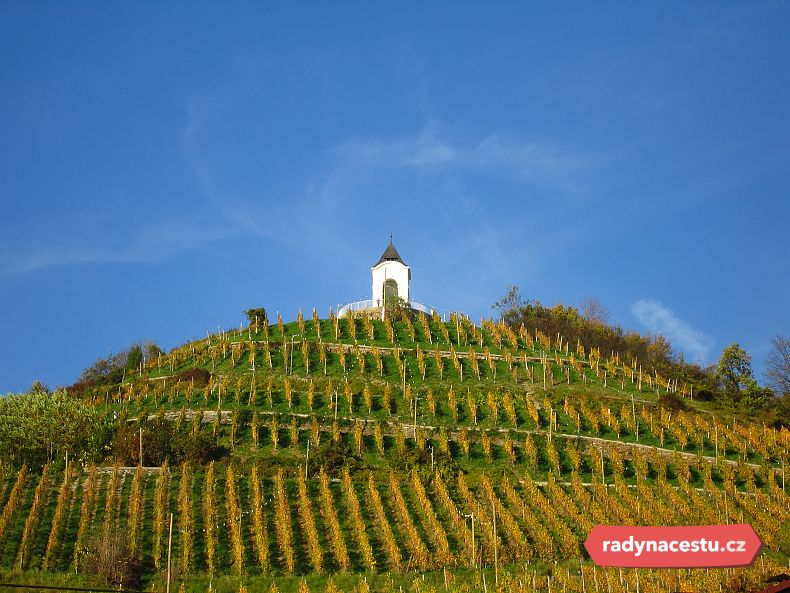 Rozsáhlé vinice nad městem