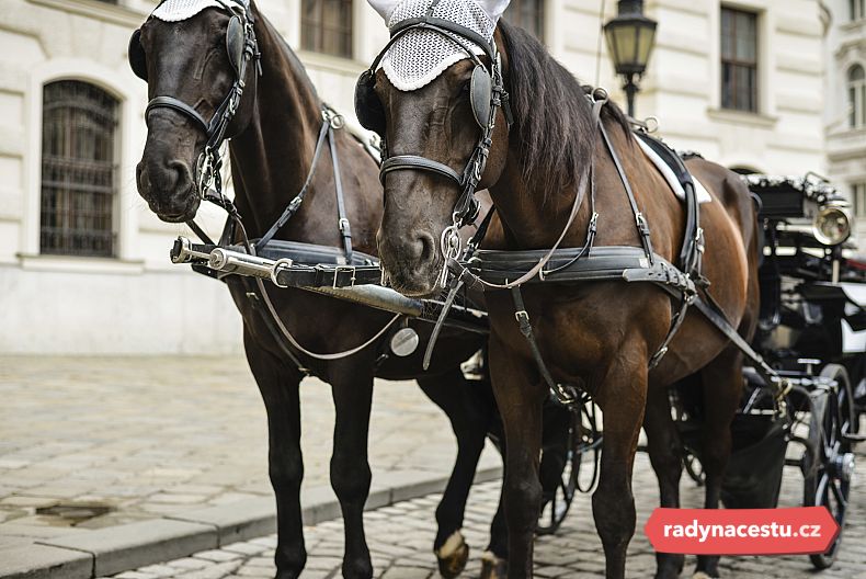 Projížďka kočárem ve Vídni