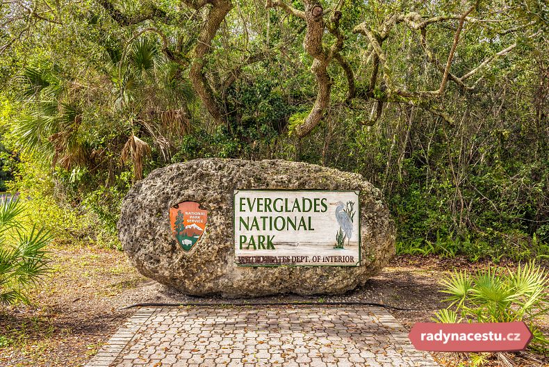 NP Everglades