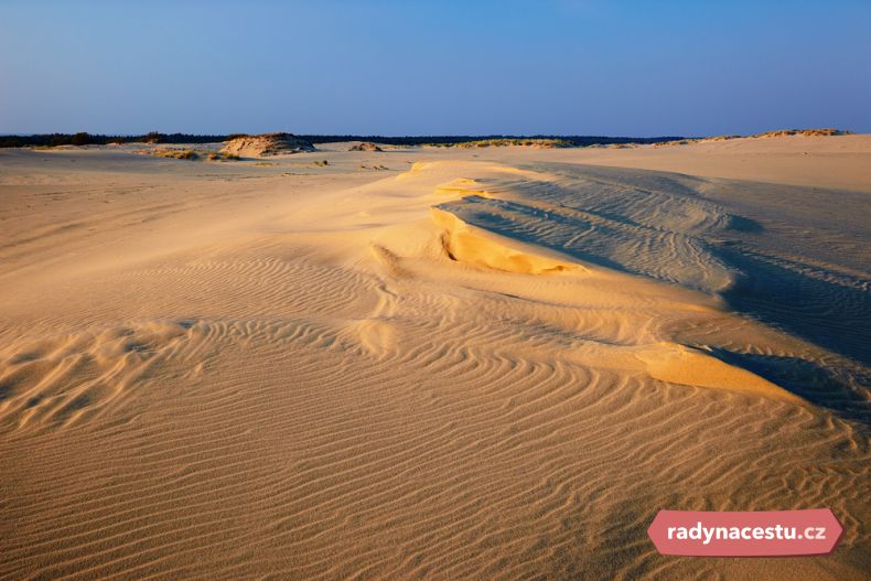 „Baltská Sahara” na poloostrově Kurská Kosa 