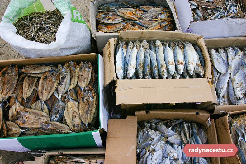 Rybí trh na Islandu