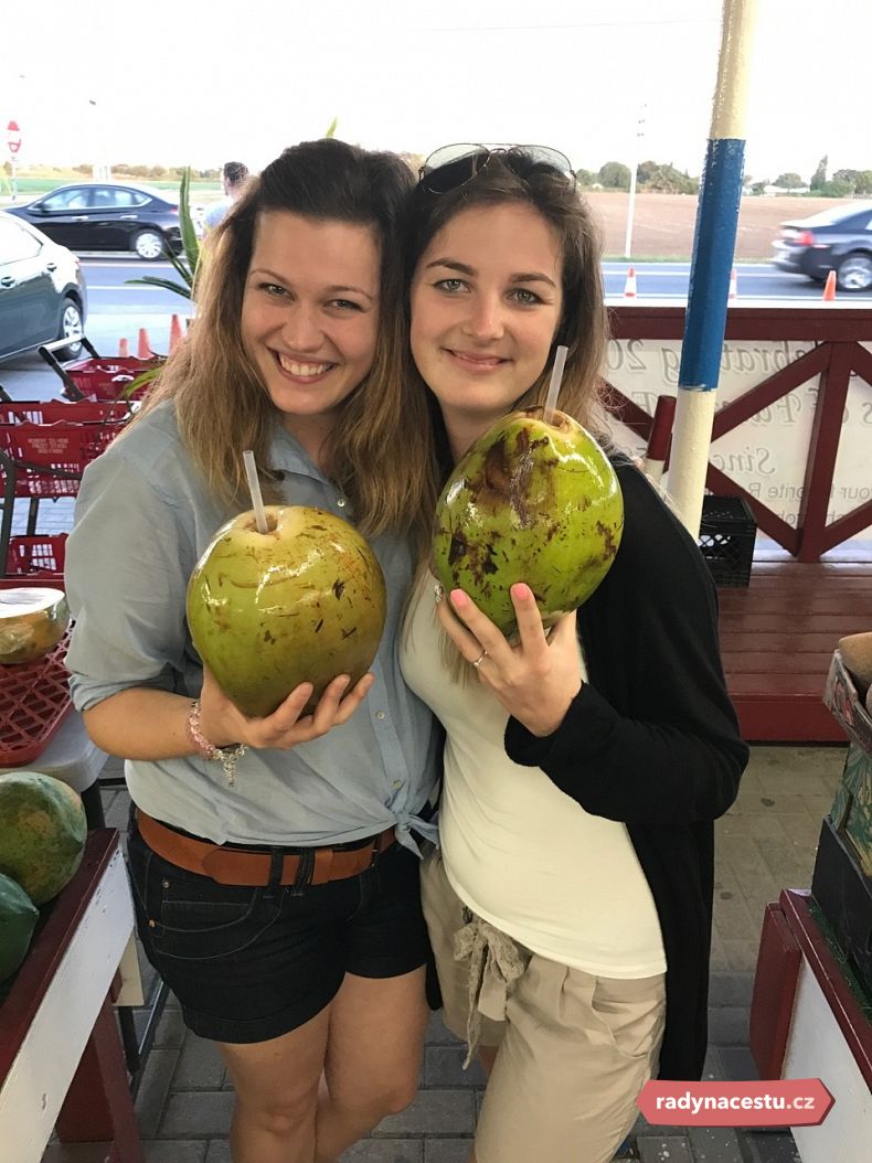 Ochutnávka kokosů