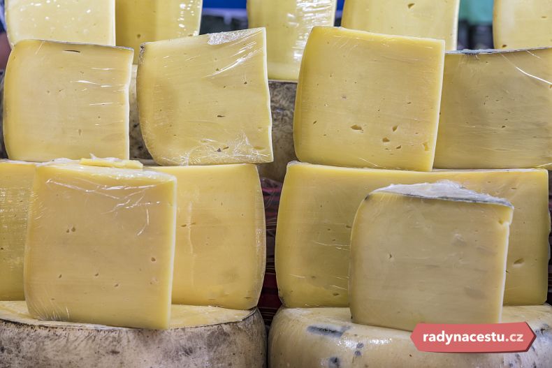 Ochutnávka různých druhů sýra čedar