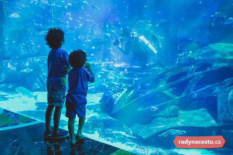 Děti obdivují obří akvárium v Dubaji