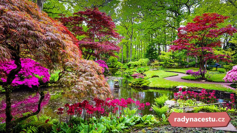 Vstupte do japonské zahrady a meditujte