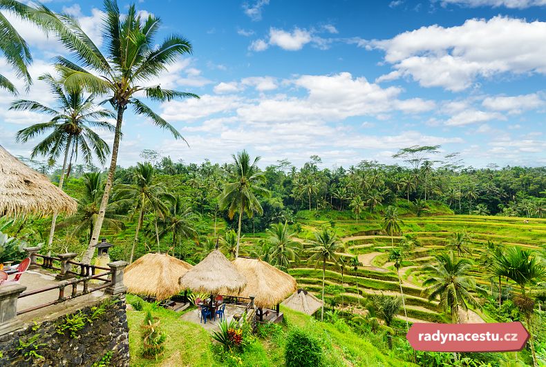 Vydejte se na Bali objevit krásu rýžových polí