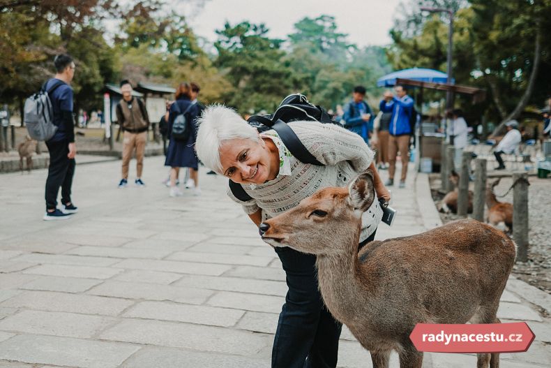 Nara vás ohromí milými jelínky