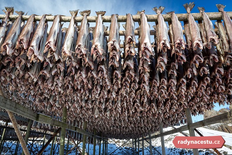 Sušení ryb v Norsku