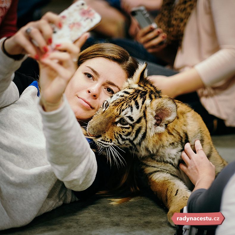 Selfie s divokými zvířaty