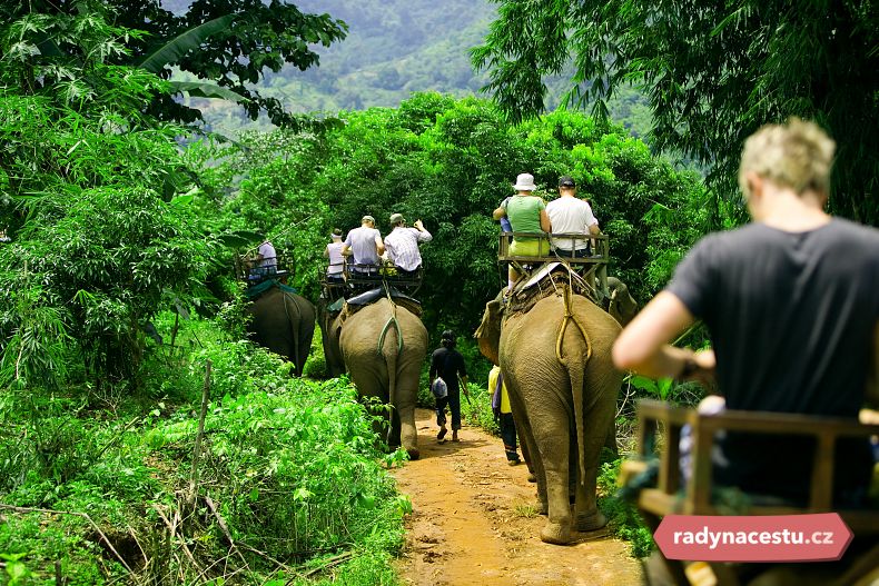 Masová turistika a jízda na slonech