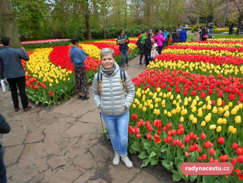 Zažijte na vlastní kůži tulipánové šílenství v Holandsku