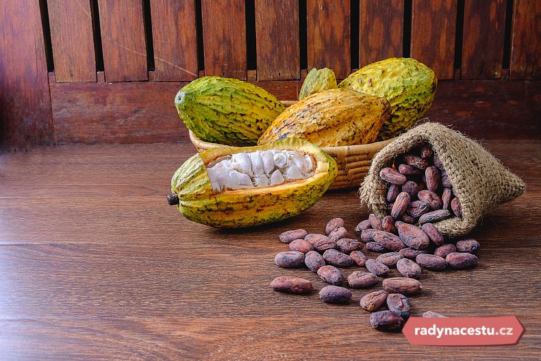 Na farmách si můžete prohlédnout, jak se suší kakao