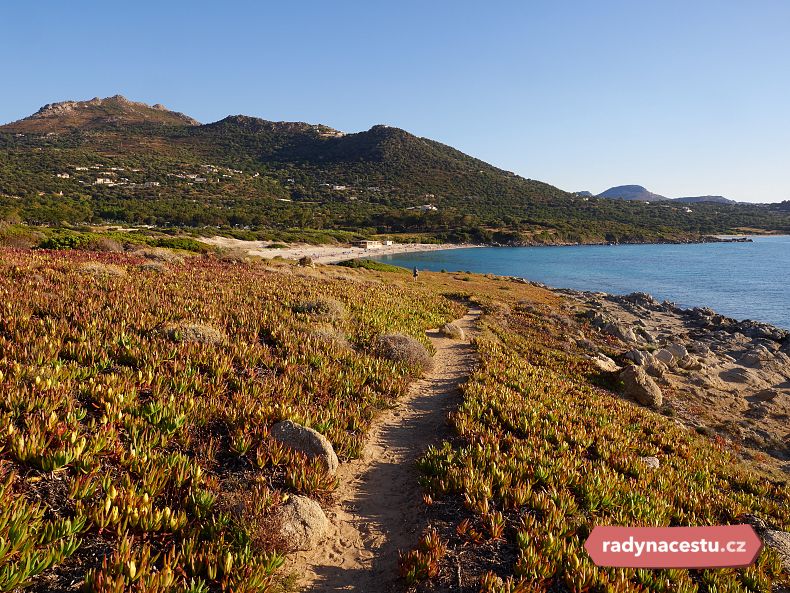 Korsika je poseta jedním typem porostu.