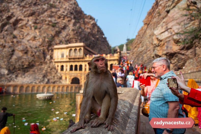 U Opičího chrámu v Jaipuru