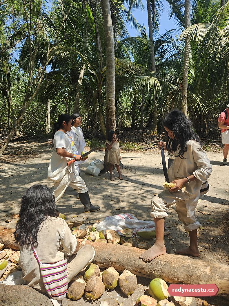 Od členů kmene Kogui jsme si koupili kokosy na osvěžení