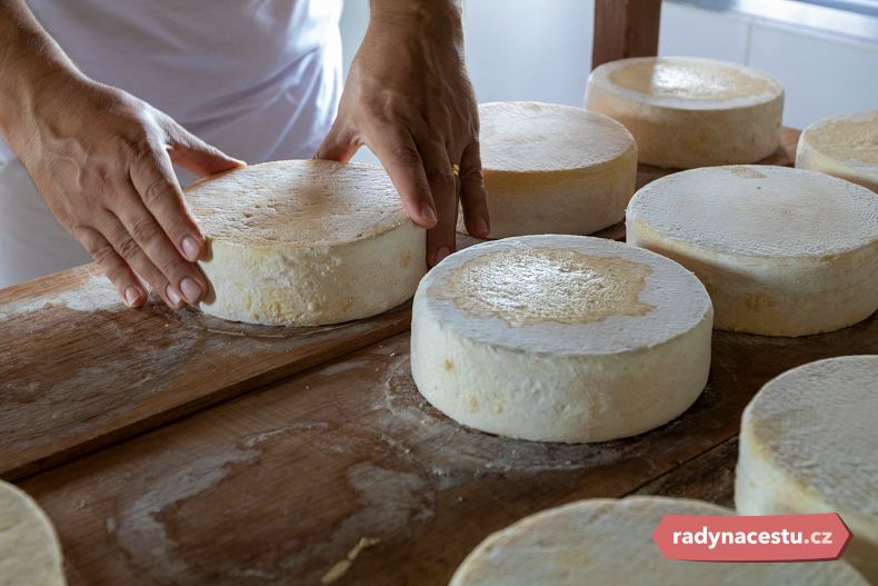 Poznejte tajemství výroby tradičního portugalského sýru Serra da Estrela