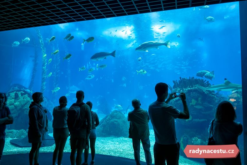 Oceanárium v Lisabonu