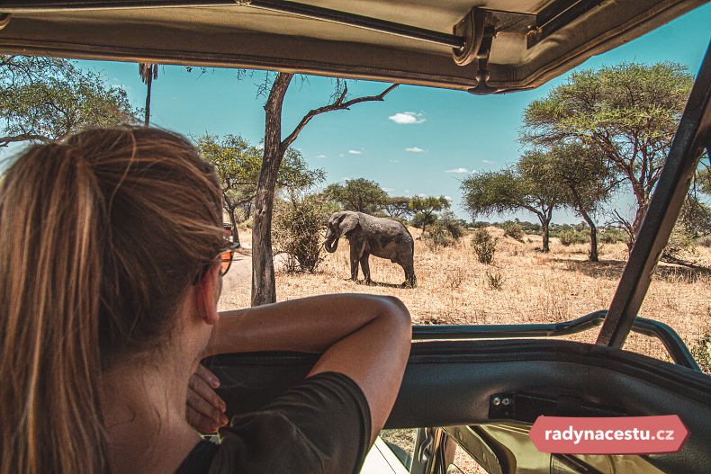 Dopřejte si výjimečný zážitek – pozorování africké zvěře na safari