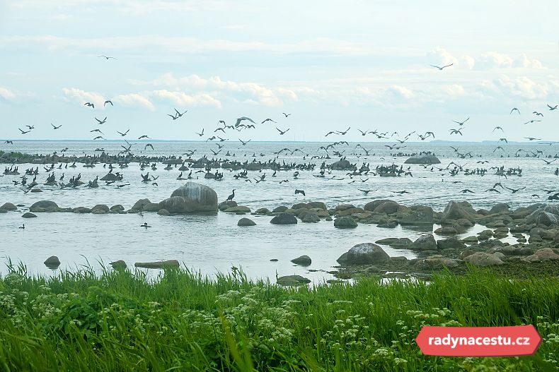 Ekenäs je důležitým hnízdištěm mořských ptáků, například racků, kormoránů nebo orlovců říčních