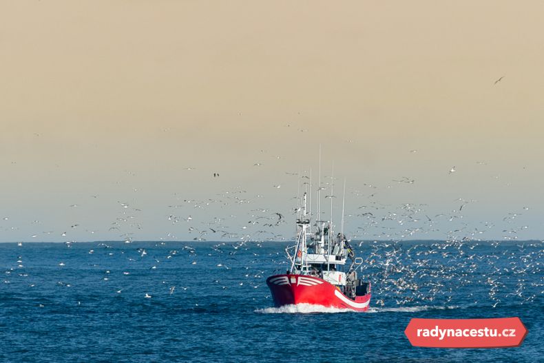 Francova rodina měla dlouho námořní a vojenskou historii