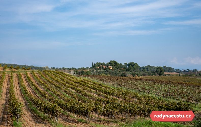 Výroba Cavy je známá zejména v katalánské oblasti Penedès