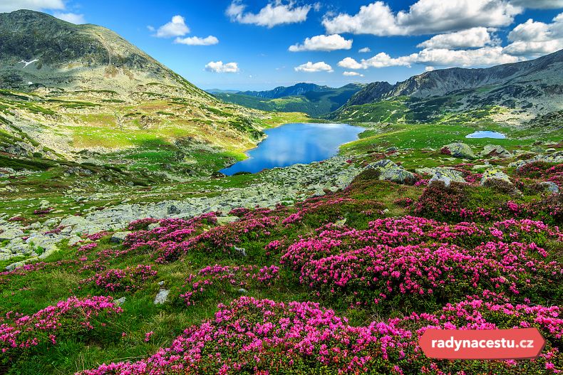 Země během jara celá kvete