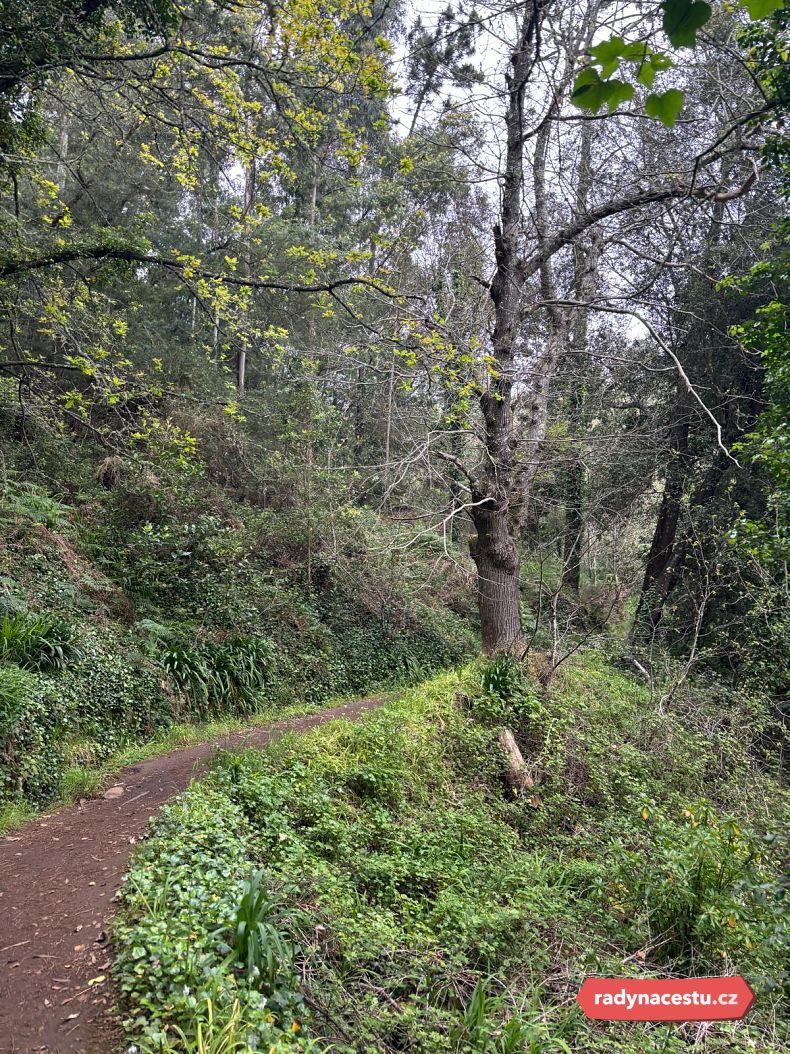 Procházka po ránu nám prospěla