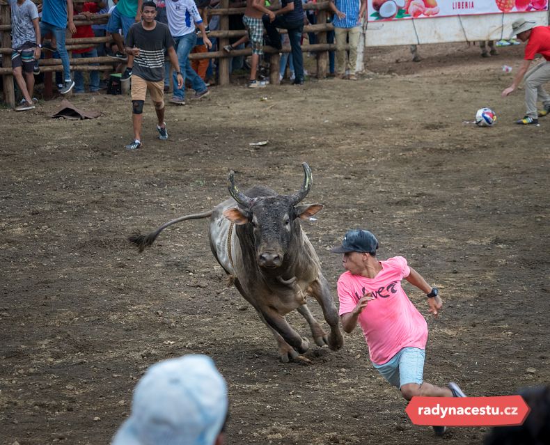 Býčí zápasy v Kostarice