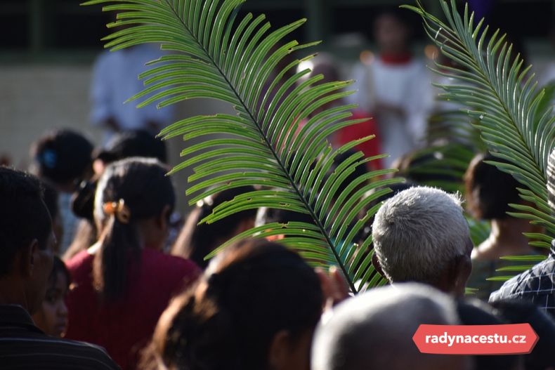 Lidé na mše nosí palmové listy
