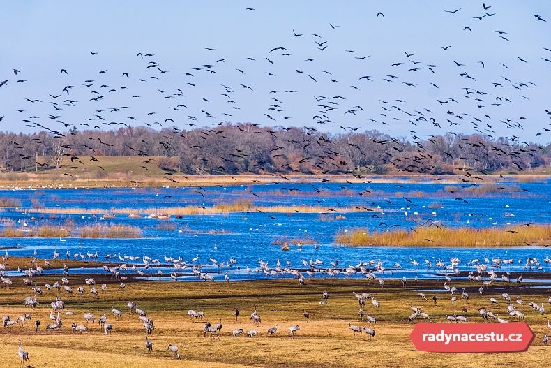 Jezero Hornborgasjön