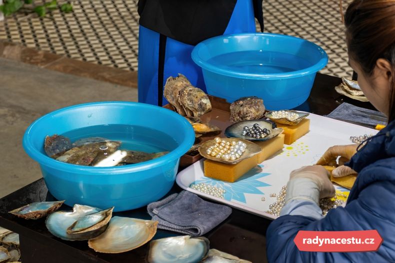 Navštivte unikátní perlové farmy