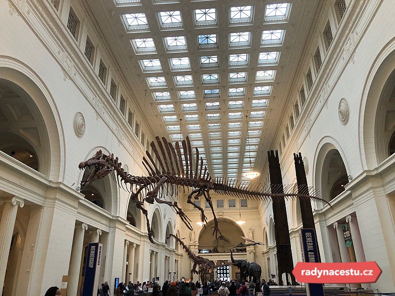 Slavná kostra Tyrannosaura rexe jménem Sue ve Field muzeu