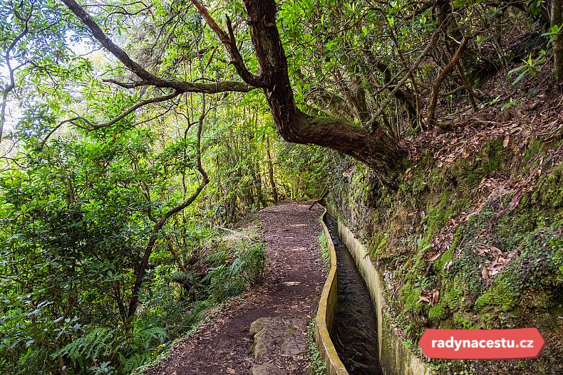 Všudypřítomné levády