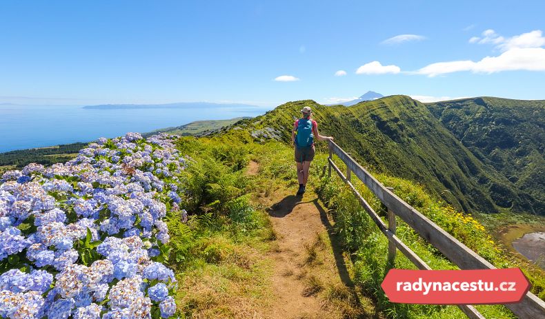 Modrý ostrov hortenzií